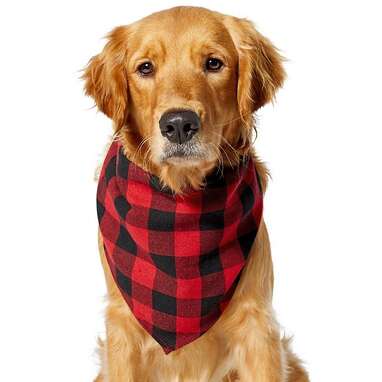 A holiday bandana: Red Buffalo Plaid Dog Bandana