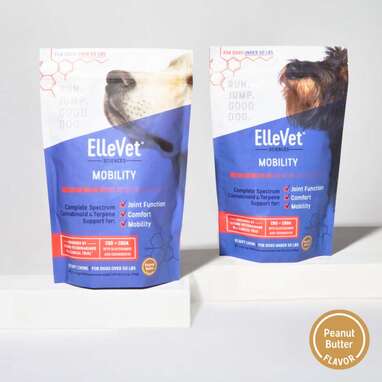 For senior dogs: ElleVet Sciences CBD Mobility Chews