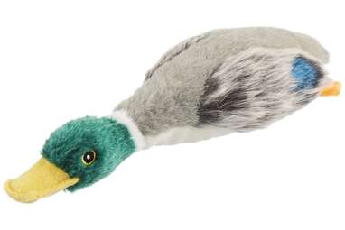 For duck-loving dogs: Fur Really Real Mallard Dog Toy