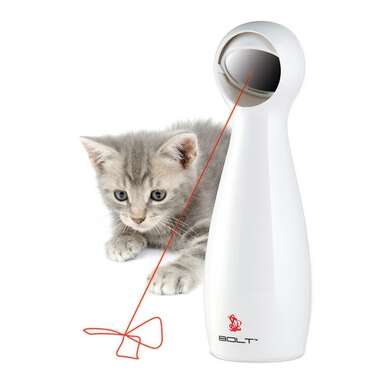 A mental workout for your cat: PetSafe Bolt Interactive Laser Toy