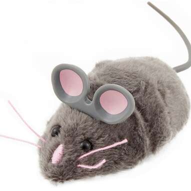 Your cat will think it’s real: Robotic Mouse Cat Toy