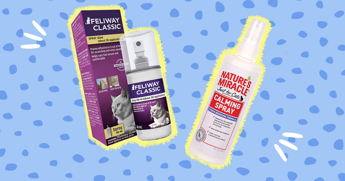 Feliway Professional Spray (60 mL) - Pet Wish Pros