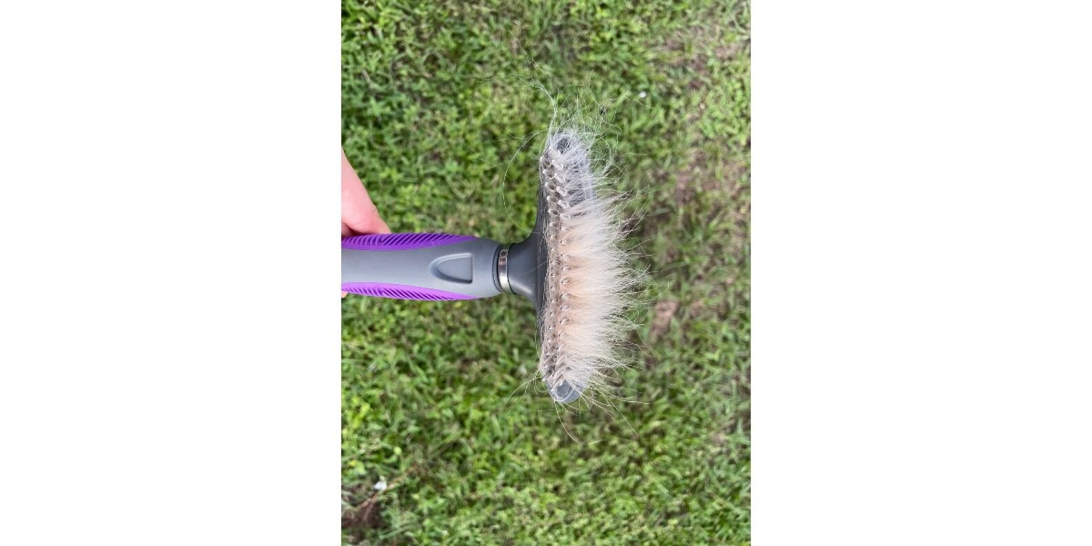 Hertzko 2in1 Comb And Deshedding Tool Reviews Does It Work? Paw of