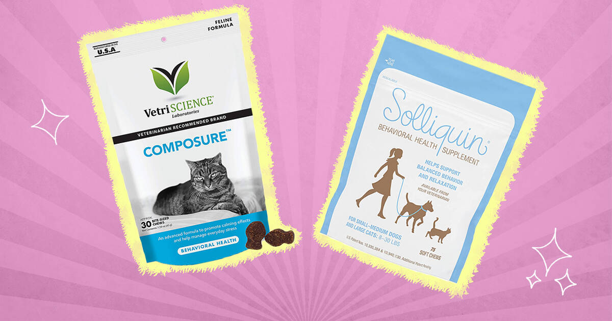 4 Calming Cat Treats That Actually Work DodoWell The Dodo