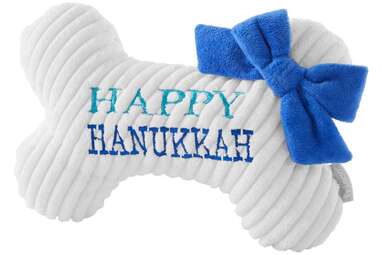 Make it memorable with this one: Frisco Holiday My First Hanukkah Bone Plush Squeaky Dog Toy