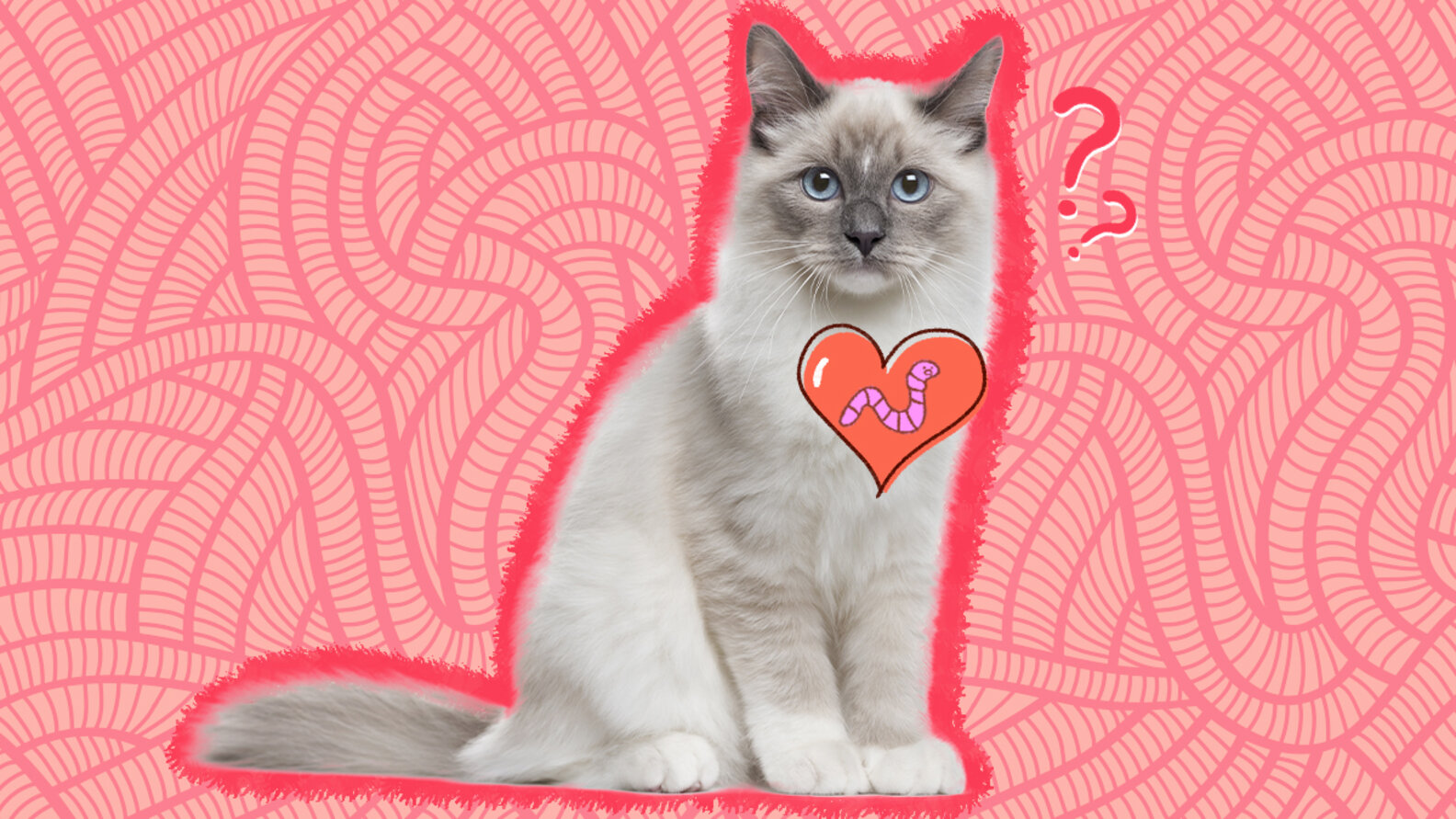 What Is Heartworm In Cats? Here’s What Cat Parents Should Know