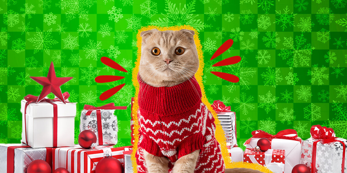 15 Cat Christmas Gifts That Should Be Under Your Tree - DodoWell