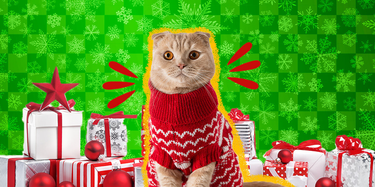 15 Cat Christmas Gifts That Should Be Under Your Tree DodoWell The Dodo