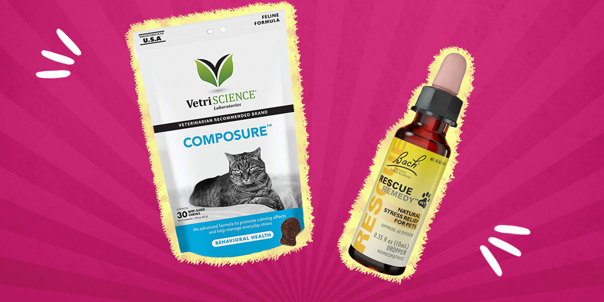 Over the counter meds safe hot sale for cats