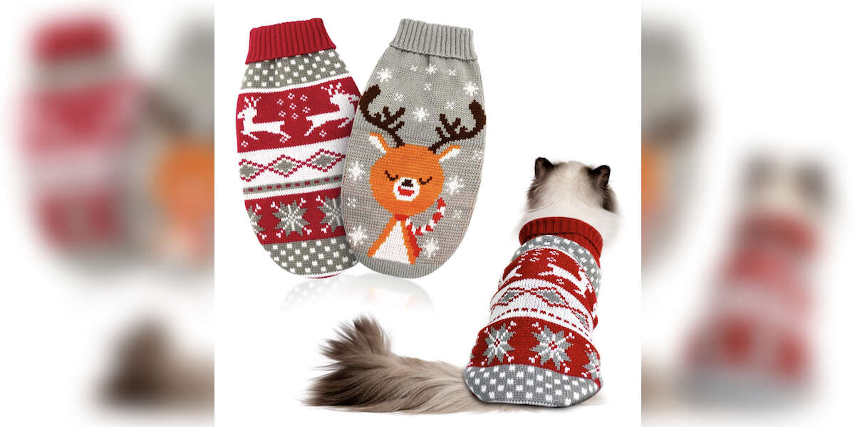 7 Festive Cat Christmas Sweaters DodoWell The Dodo