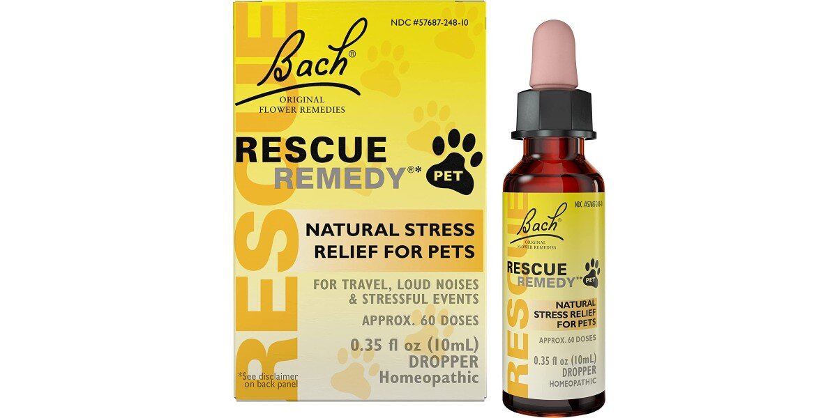 10 Cat Anxiety Medications - DodoWell - The Dodo