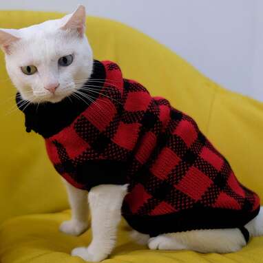 Upaw Turtleneck Cat Argyle Sweater