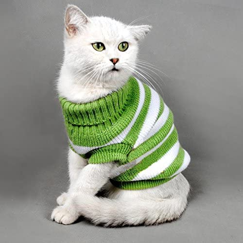 Sweater hotsell calms cat