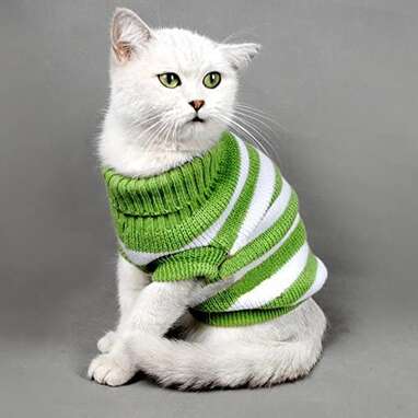 Evursua Striped Cat Sweater