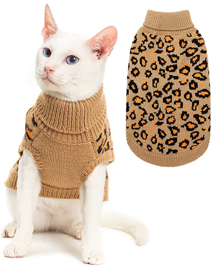 11 Best Cat Sweaters On Amazon - DodoWell - The Dodo