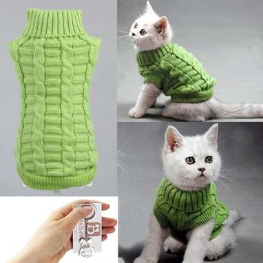 14 Oh-So-Adorable Cat Sweaters to Keep Kitty Warm on Chilly Days and  Holiday Nights