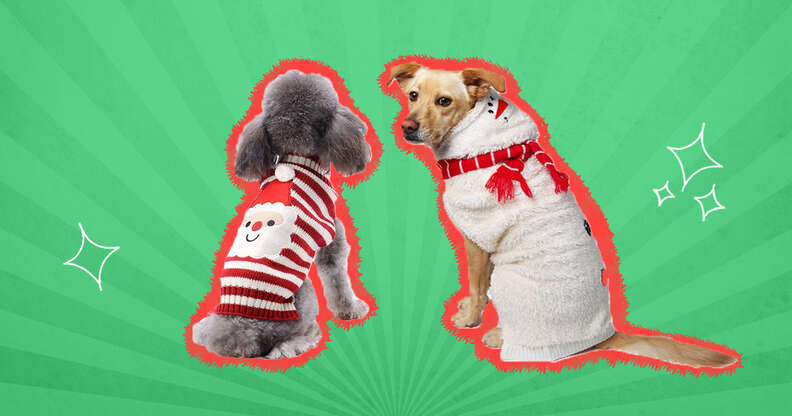 ugly christmas sweaters for dogs