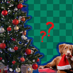 dog holding santa hat with christmas tree