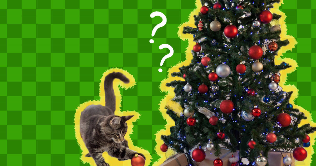 Cat chewing on outlet fake christmas tree