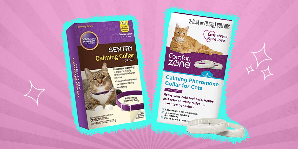 Pheromone cat outlet collars