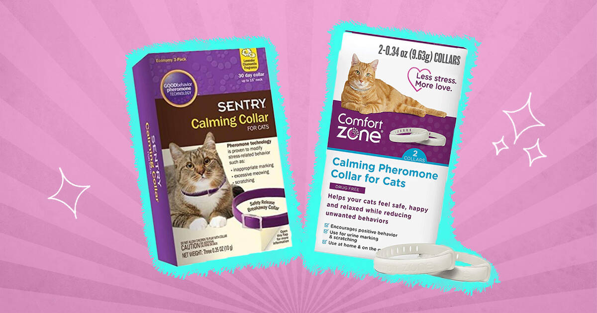 Sentry calming collar clearance for cats 3 pack