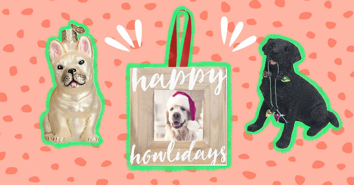 Pearhead Pet Pawprint Hanging DIY Keepsake Christmas Ornament, Dog or Cat  Clay Pawprint Art, Pet Owner Holiday, White