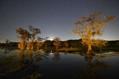 Texas Parks and Wildlife