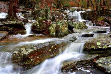 Beavers Bend State Park texas