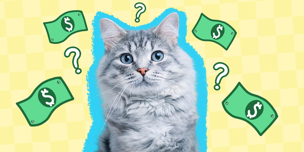 Gps implant for sales cats