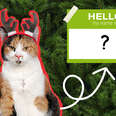cat wearing antlers and name tag