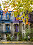 beautiful townhouses on a tree-lined street