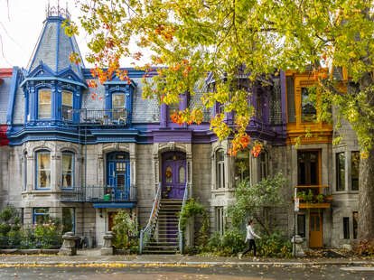 vibrantly colored townhouses on a tree-lined street