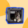 amazonbasics portable crate