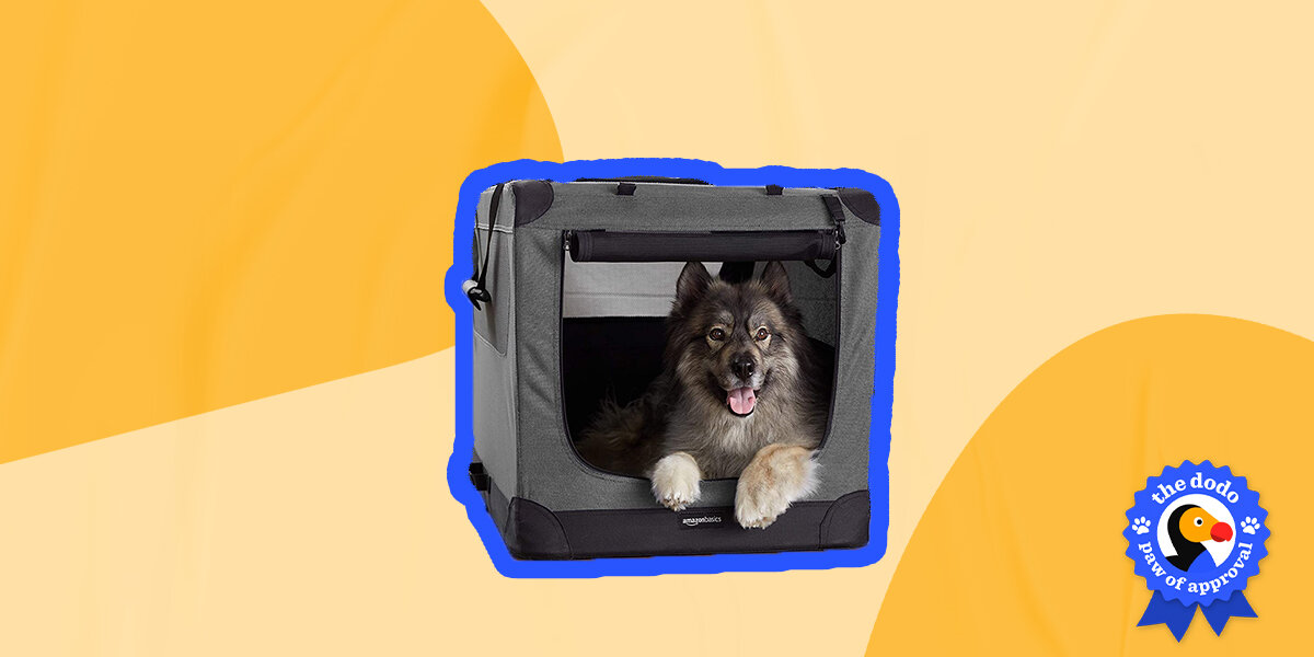 Top paw portable clearance crate instructions