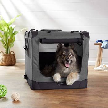 Basics Folding Soft Dog Crate for Crate-Trained Dogs 
