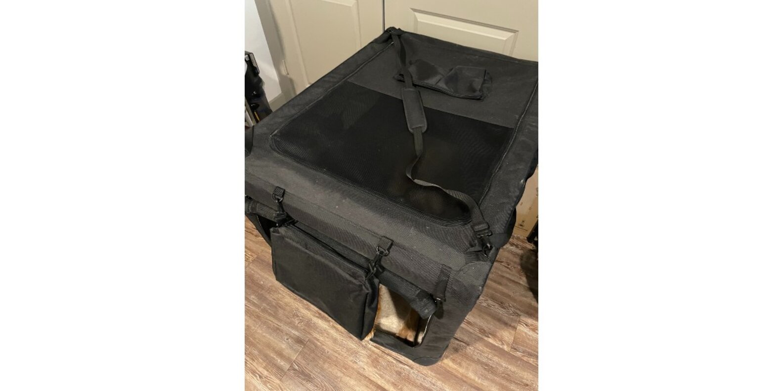 Amazon Basics Folding Portable Soft Pet Crate Reviews Does It Work
