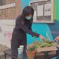 In This Together: Plants for the People Makes Plant-Owning Inclusive