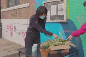 In This Together: Plants for the People Makes Plant-Owning Inclusive