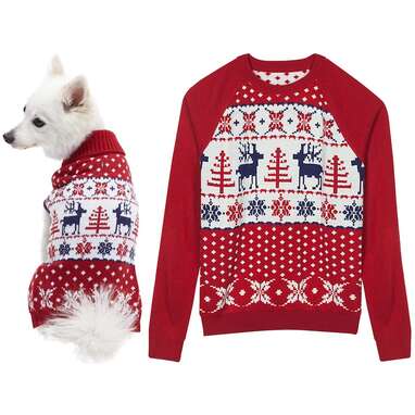 Dog and owner christmas sweater on sale
