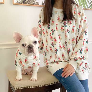 Matching cat and outlet human christmas sweaters