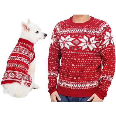Matching christmas hot sale sweaters with dog