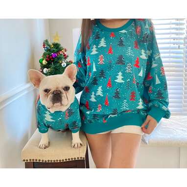 Matching ugly christmas sweaters shop for dog and owner