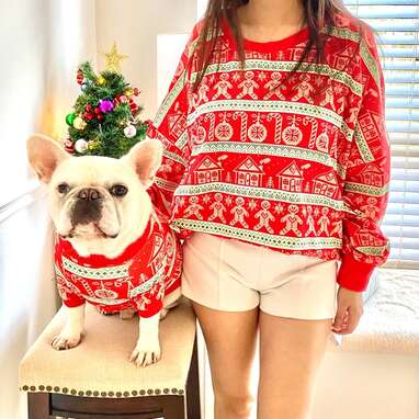 Matching dog and store owner xmas jumpers