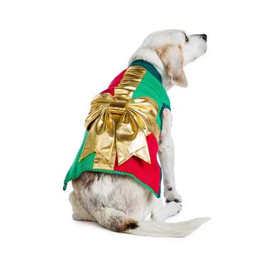 Gold Bow Dog Sweater