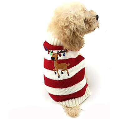 Reindeer And Christmas Lights Dog Sweater
