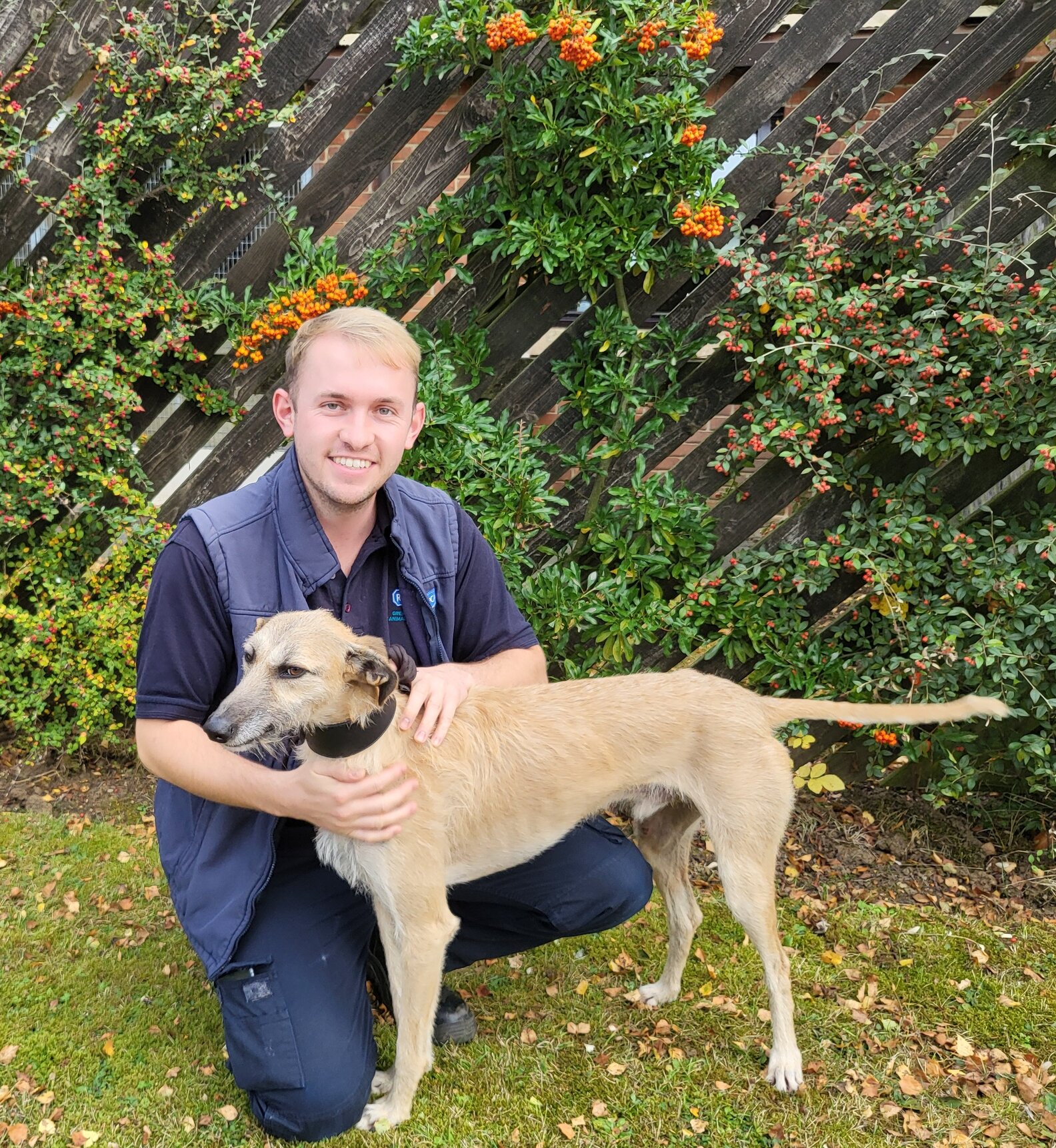 Dog Abandoned In Middle Of Woods So Happy To Be Rescued - The Dodo