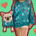 matching dog christmas sweater