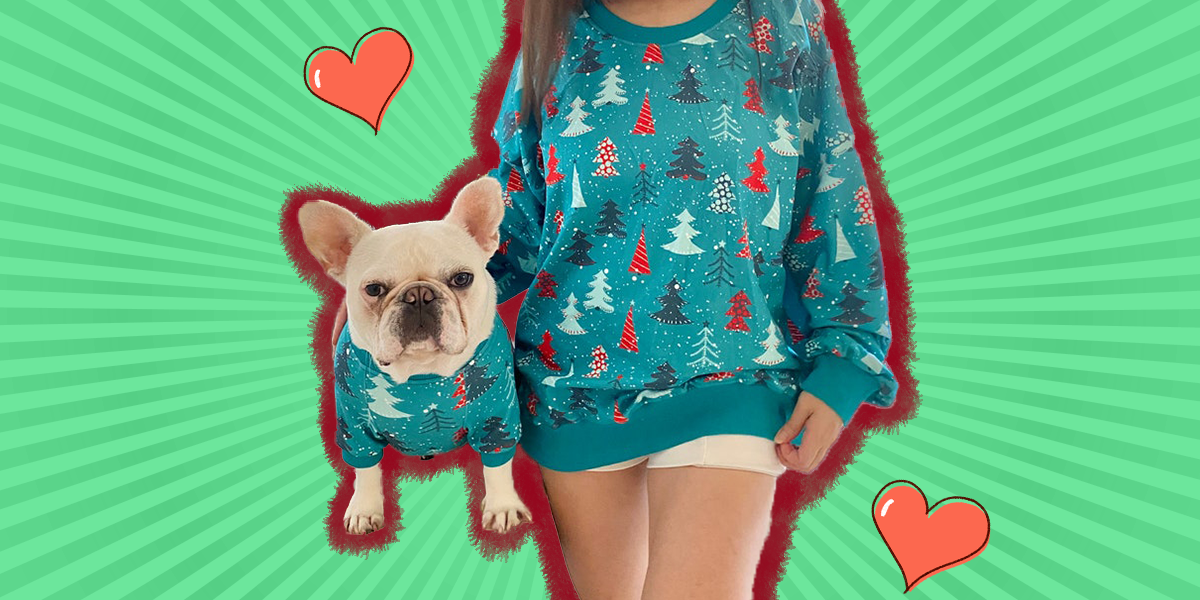 matching ugly christmas sweaters dog