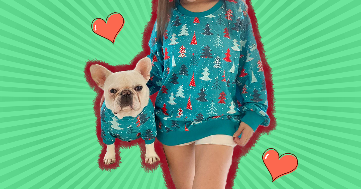 Christmas sweater for cat Dog and Owner Matching Clothes Snowflake jumper for dog Red snowflake motif sweater for dog Red dog pullover