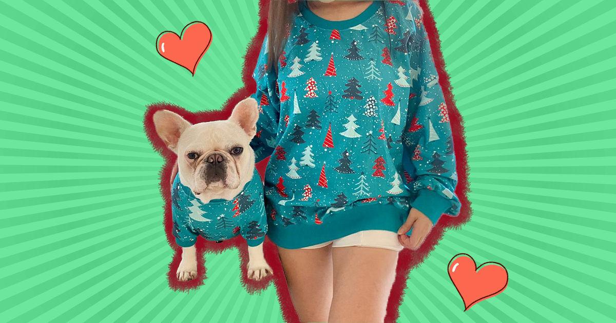 Christmas sweater for dog and owner best sale